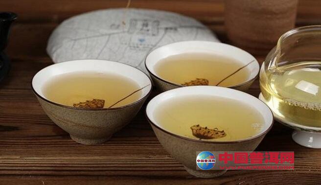普洱茶