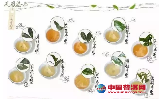 普洱茶