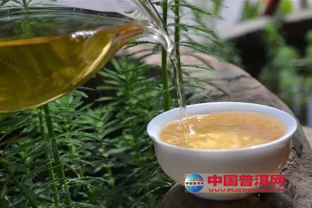 普洱茶