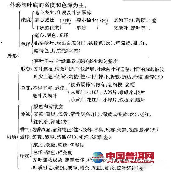 <u><a href='http://www.puer10000.com/puerzhishi/32854.html' target='_blank'>普洱茶</a></u>