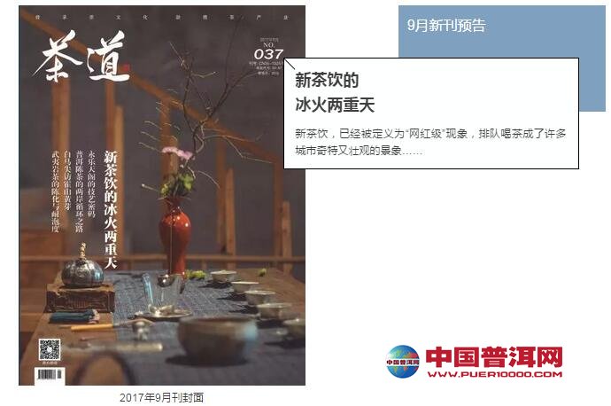 普洱茶