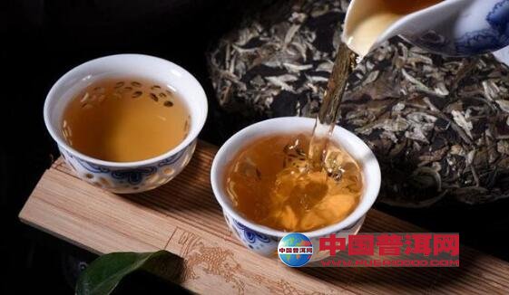 普洱茶
