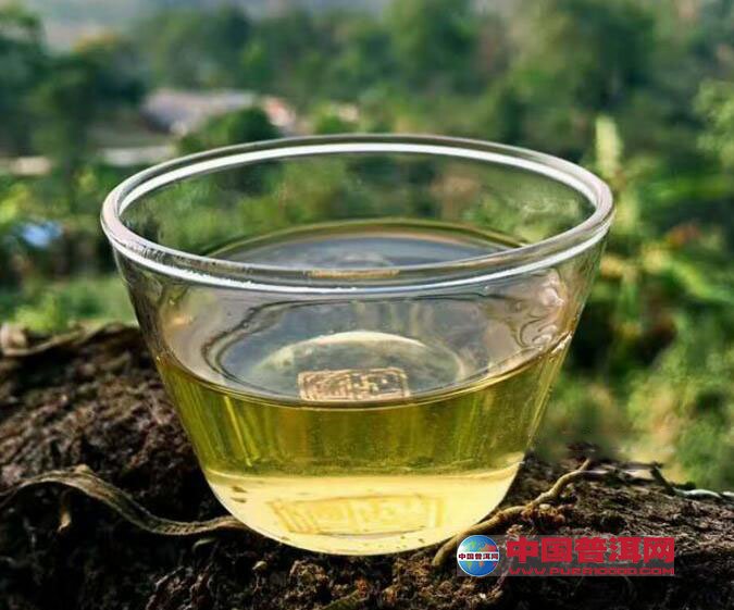 普洱茶