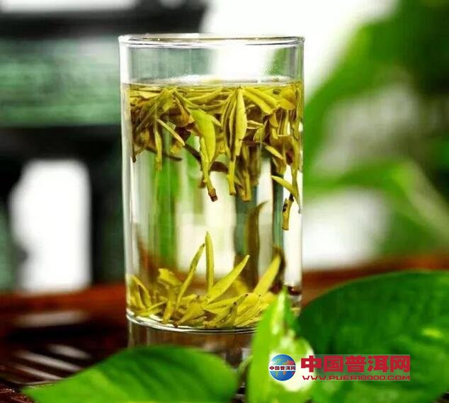 银笋和雪芽等茶叶名称是不是根据形状不同而命名的