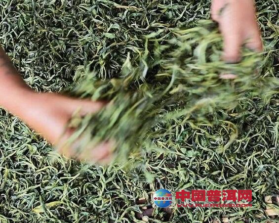 普洱茶