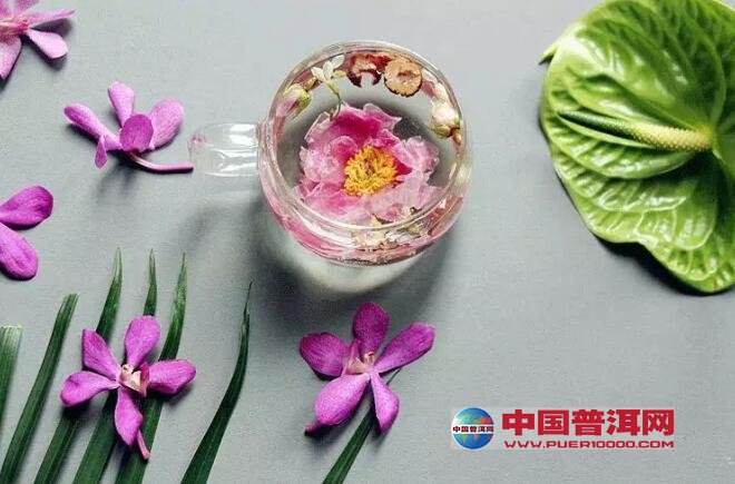 湿热体质喝什么茶好