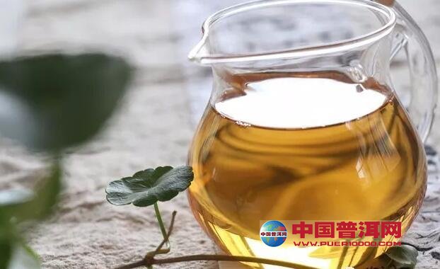 普洱茶