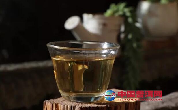 普洱茶