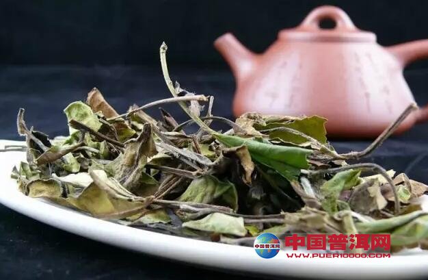 普洱茶
