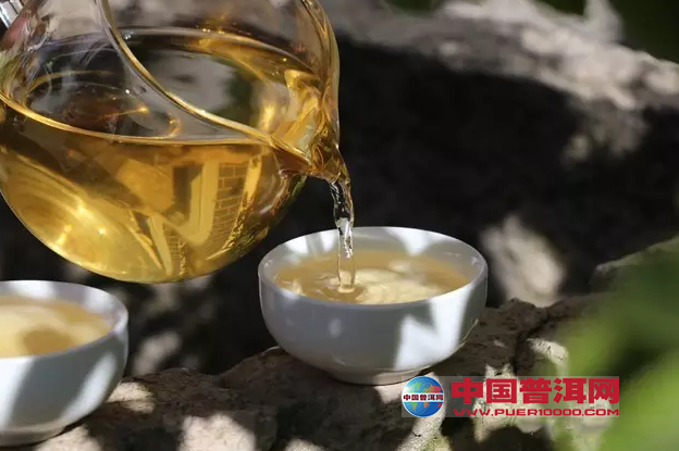 普洱茶
