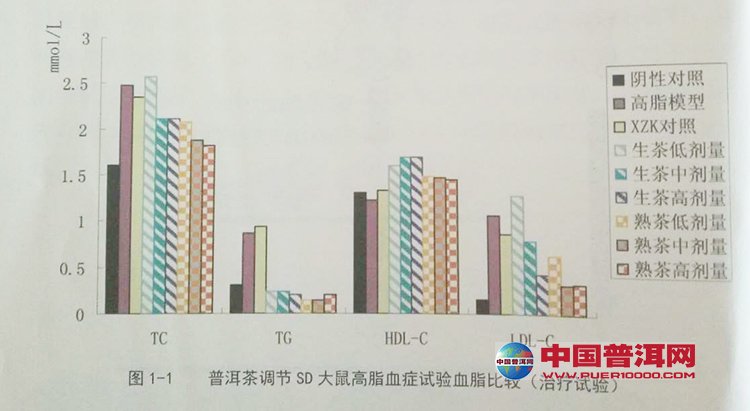普洱茶