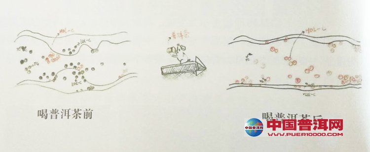 普洱茶