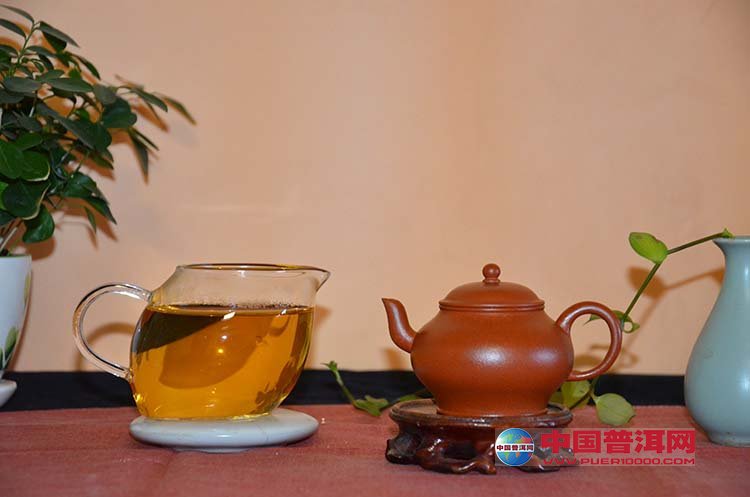 普洱茶