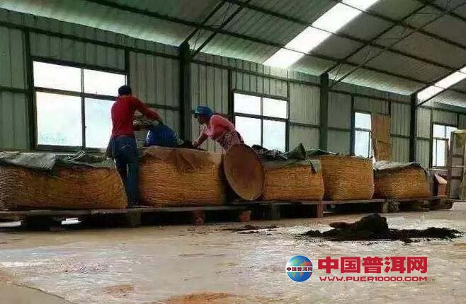 <u><a href='http://www.puer10000.com/puerzhishi/32854.html' target='_blank'>普洱茶</a></u>