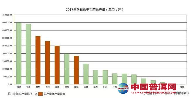 普洱茶
