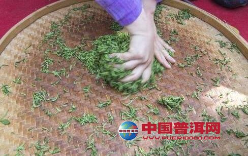 普洱茶