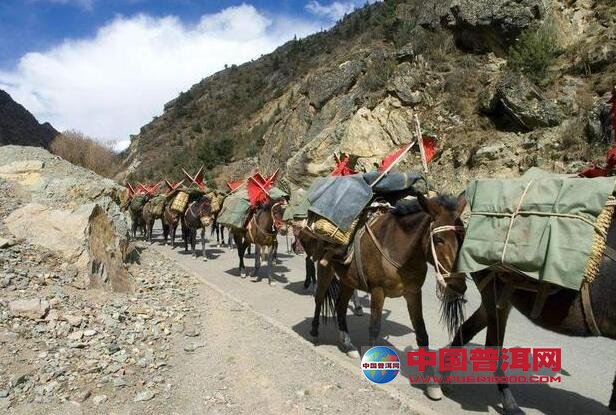 <u><a href='http://www.puer10000.com/puerzhishi/32854.html' target='_blank'>普洱茶</a></u>