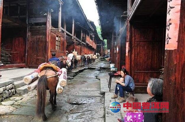<u><a href='http://www.puer10000.com/puerzhishi/32854.html' target='_blank'>普洱茶</a></u>