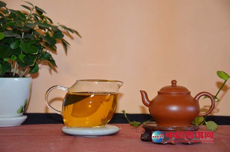 普洱茶