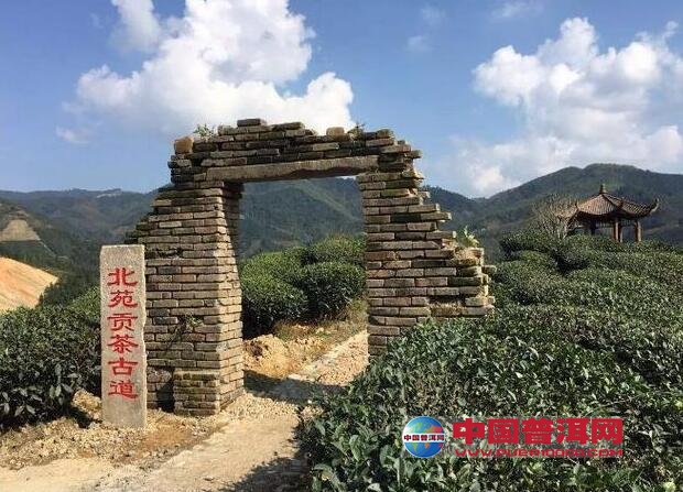 普洱茶