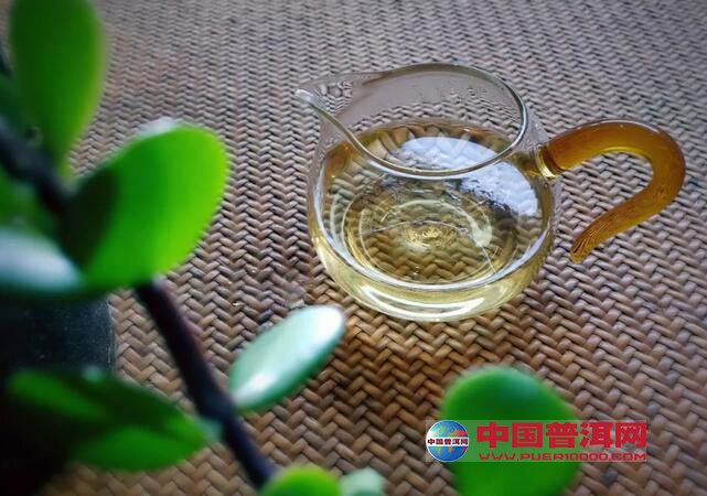 普洱茶