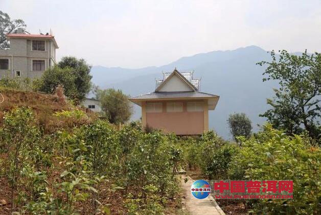 <u><a href='http://www.puer10000.com/puerzhishi/32854.html' target='_blank'>ն<u><a href='http://www.puer10000.com/puerzhishi/100997.html' target='_blank'></a></u></a></u>