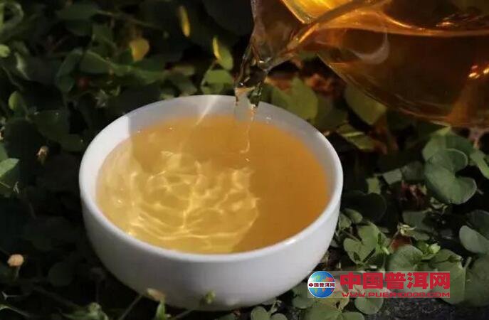 普洱茶