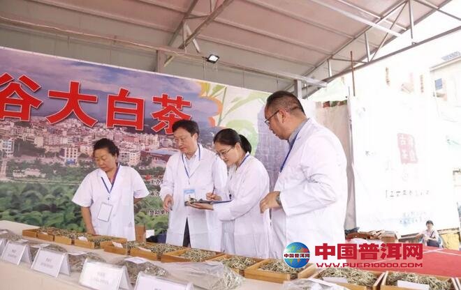 普洱茶