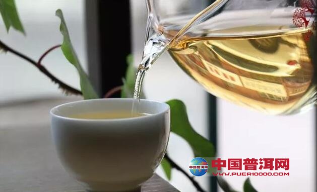 普洱茶