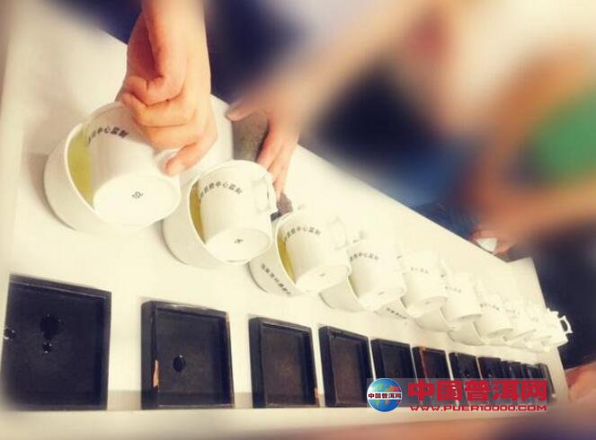 评茶