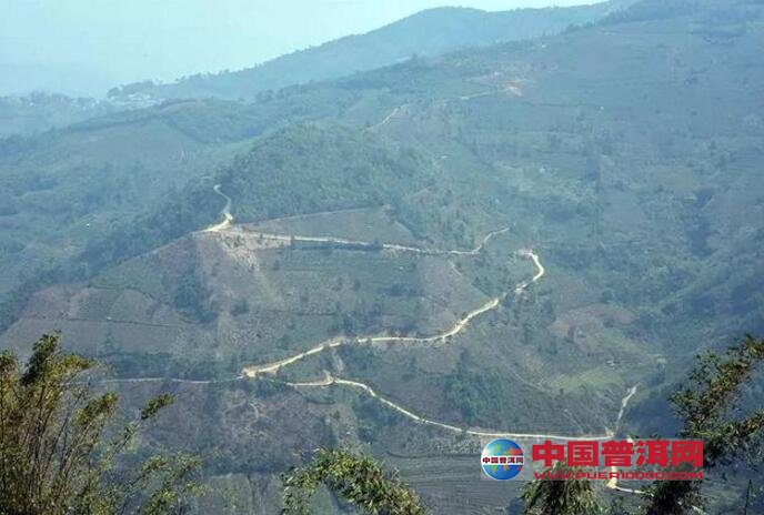 茶山