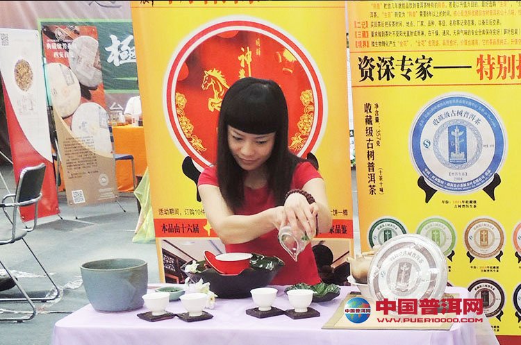 普洱茶
