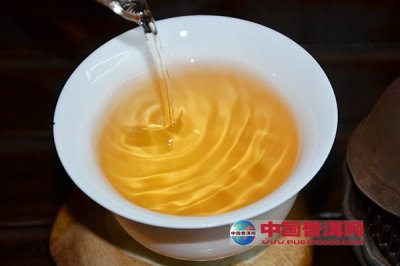 哪款才是适合你的茶