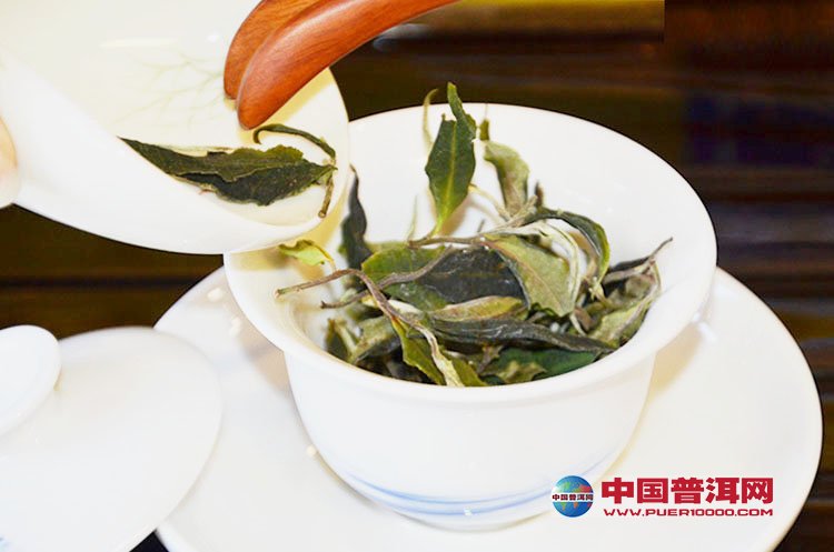 <u><a href='http://www.puer10000.com/puerzhishi/32854.html' target='_blank'>普洱<u><a href='http://www.puer10000.com/puerzhishi/100997.html' target='_blank'>茶</a></u></a></u>