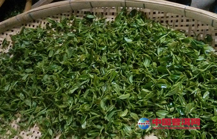 普洱茶