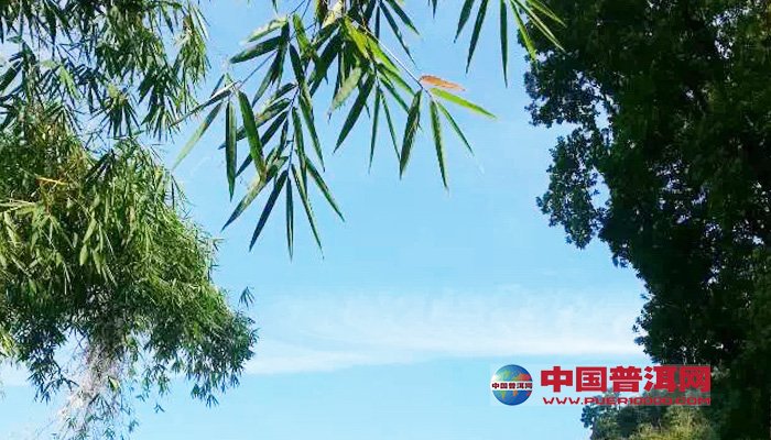 <u><a href='http://www.puer10000.com/puerzhishi/32854.html' target='_blank'>普洱<u><a href='http://www.puer10000.com/puerzhishi/100997.html' target='_blank'>茶</a></u></a></u>