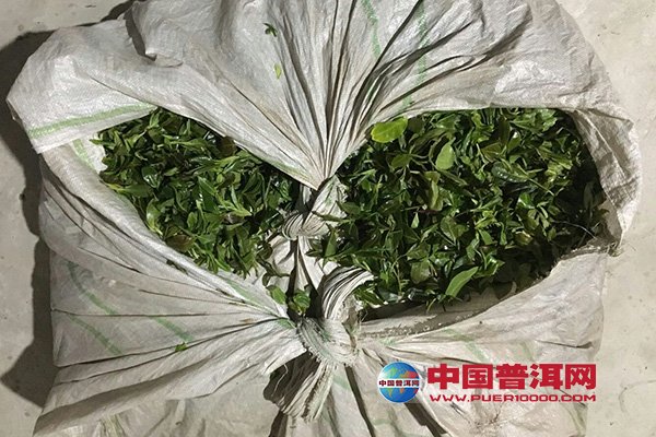 <u><a href='http://www.puer10000.com/puerzhishi/32854.html' target='_blank'>普洱<u><a href='http://www.puer10000.com/puerzhishi/100997.html' target='_blank'>茶</a></u></a></u>
