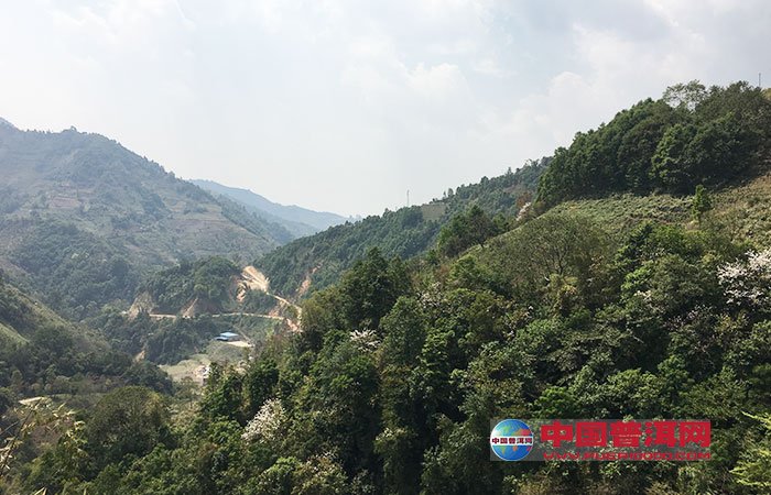 <u><a href='http://www.puer10000.com/puerzhishi/32854.html' target='_blank'>普洱<u><a href='http://www.puer10000.com/puerzhishi/100997.html' target='_blank'>茶</a></u></a></u>