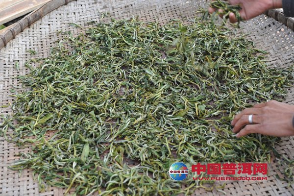 普洱茶