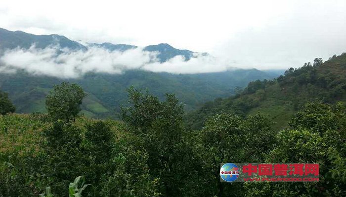 <u><a href='http://www.puer10000.com/puerzhishi/32854.html' target='_blank'>普洱<u><a href='http://www.puer10000.com/puerzhishi/100997.html' target='_blank'>茶</a></u></a></u>