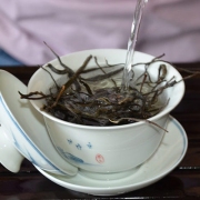 2019年早春忙肺古树茶散茶