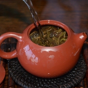 【买一发二】2003年千年古茶树茶