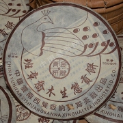 2004年班章孔雀乔木贡饼