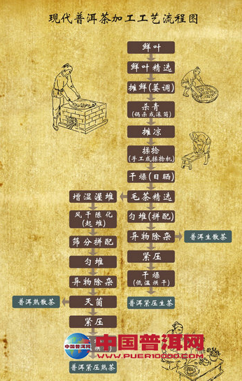 普洱茶