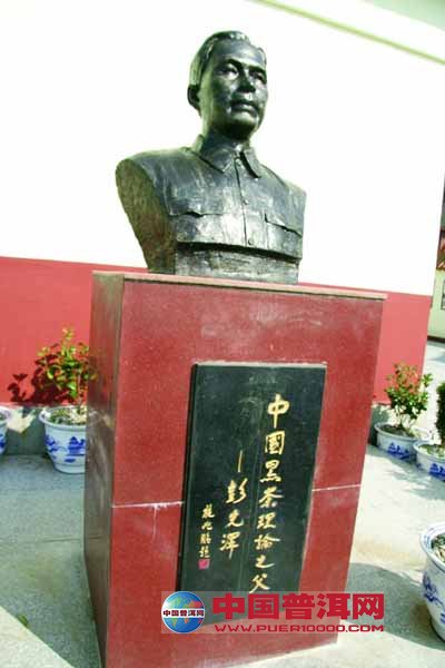 普洱茶