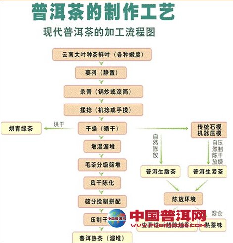 普洱茶