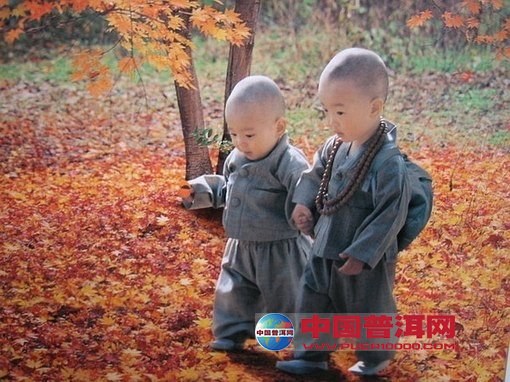 <u><a href='http://www.puer10000.com/puerzhishi/32854.html' target='_blank'>ն<u><a href='http://www.puer10000.com/puerzhishi/100997.html' target='_blank'></a></u></a></u>