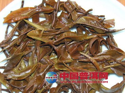 普洱茶