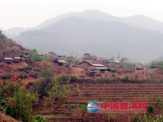 <u><a href='http://www.puer10000.com/puerzhishi/32854.html' target='_blank'>ն<u><a href='http://www.puer10000.com/puerzhishi/100997.html' target='_blank'></a></u></a></u>