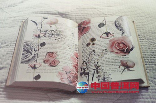 <u><a href='http://www.puer10000.com/puerzhishi/32854.html' target='_blank'>ն<u><a href='http://www.puer10000.com/puerzhishi/100997.html' target='_blank'></a></u></a></u>